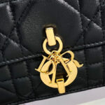 Christian Dior Miss Daisy Mini Bag Black